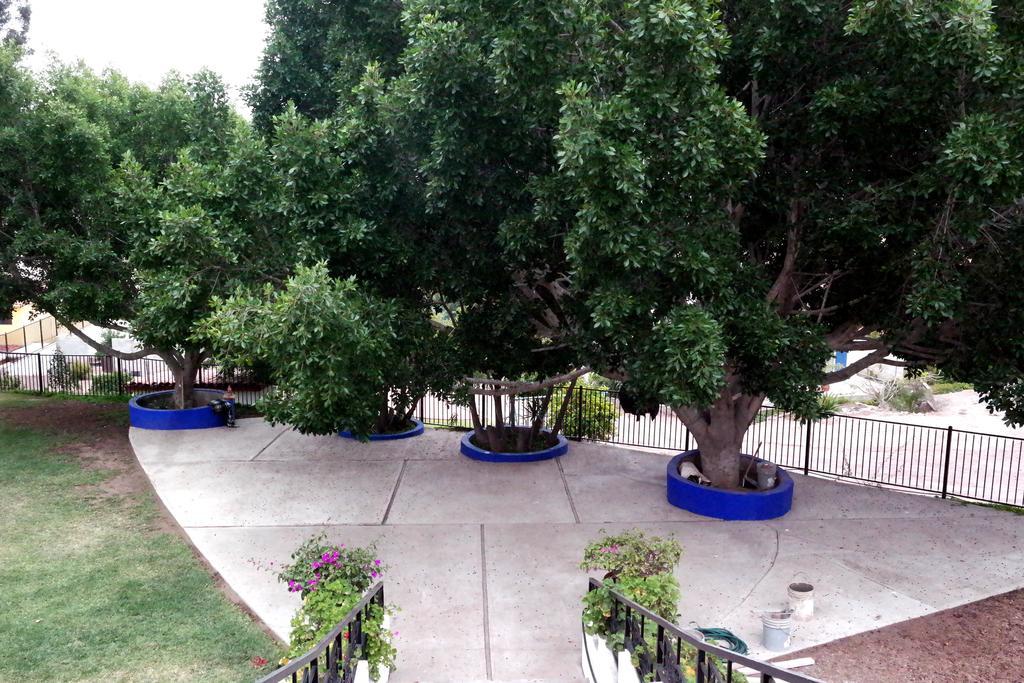 Отель Quinta Los Arrayanes Энсенада Экстерьер фото