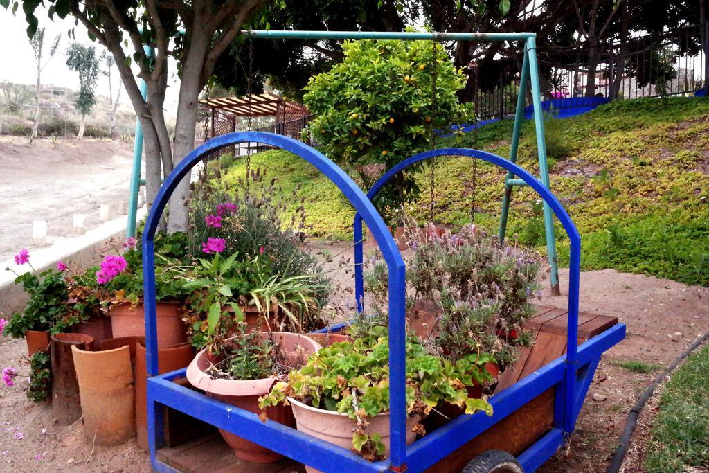 Отель Quinta Los Arrayanes Энсенада Экстерьер фото